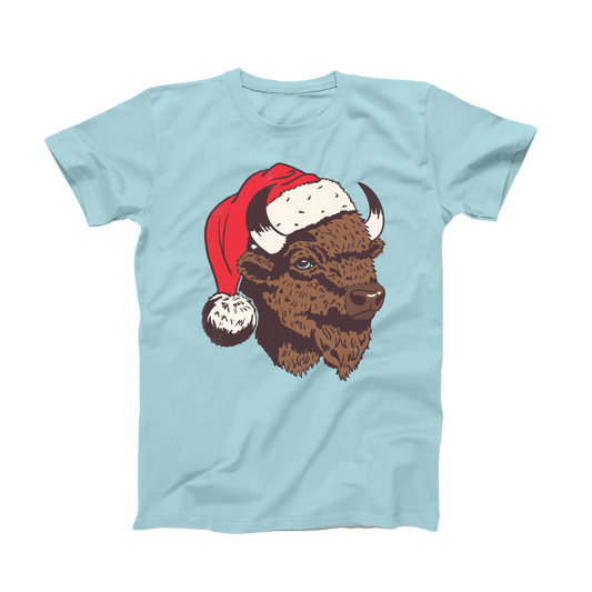 Santa Bison | December '24 | OK SOTM